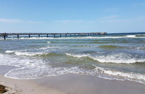 Ferienhaus Blomengoorn - Foto 49