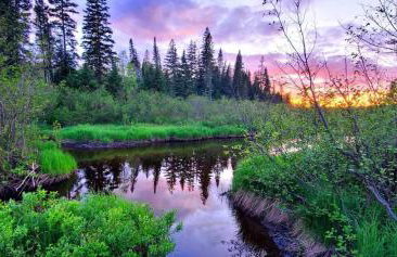 Off-Grid Cabin Nestled Among Nature with Lovely Landscape Views in Maine - Foto 16