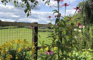 Betula Views - Photo 26