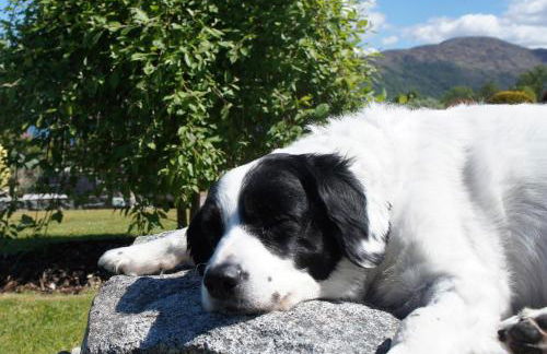The Allanbreck Studio Glencoe Ballachulish Highlands Near Fortwilliam - Foto 43