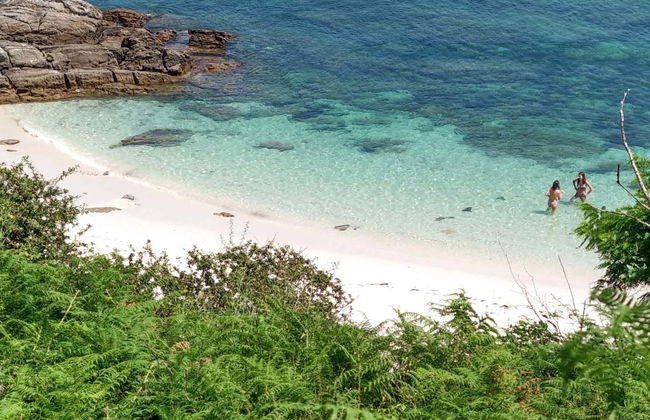 Ons Island Boat Transfer - Photo 1