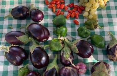 Παραδοσιακός πέτρινος ξενώνας σε φάρμα - Foto 26