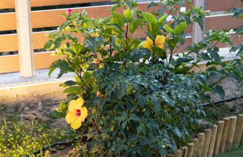 Villa Neonis - Foto 50