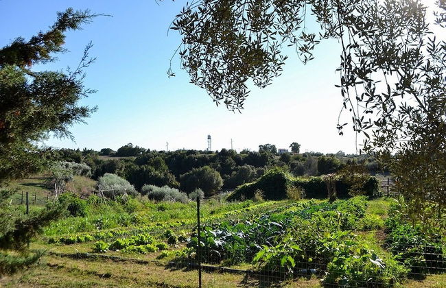 Ars Naturae Biologic Farm - Foto 60