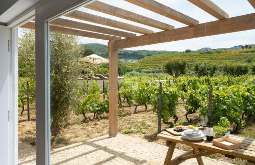 IMAGO Houses - Douro Valley - By MET - Foto 43