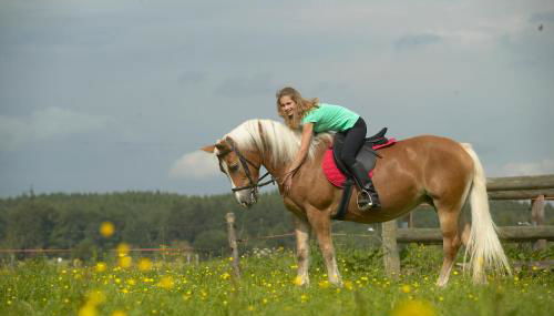 Ferienhof Off - Foto 4