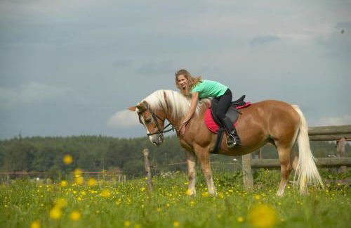 Ferienhof Off - Foto 4