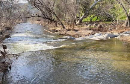 Sequoia Cabin by the River - Photo 42