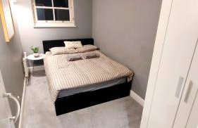Amazing flat near South Kensington - 2 to 3 bedrooms - Photo 11
