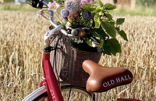 Old Hall Country Breaks - Foto 54