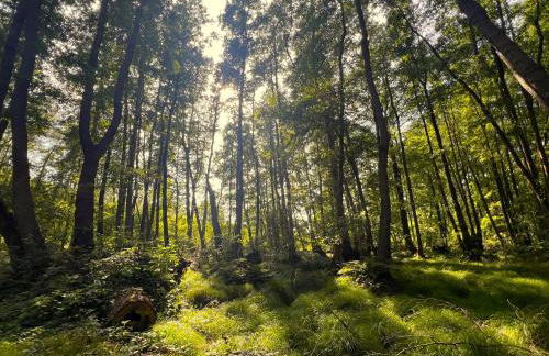 Ostseeferienhaus Finni - Foto 17