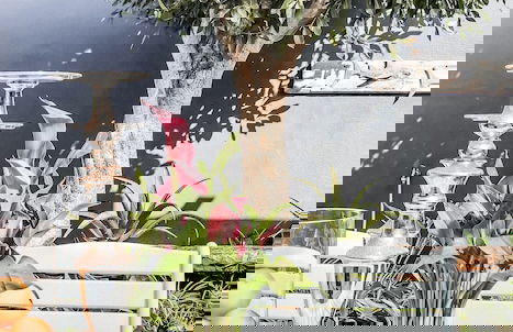 The Seagull Hermanus - Foto 54