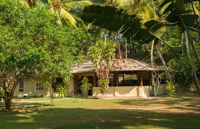 Modern Luxury 03 Bedroom Villa - Photo 5