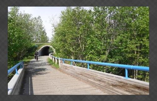 New-Game Room-Nearby Lake-Airport-Family-Bear Haus - Photo 3