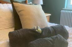 Chestnut Cottage - Foto 24