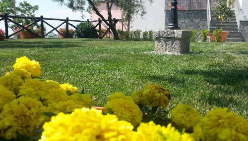 Il Pozzo dei Desideri - De Vivo Realty Vico Equense - Foto 5, Garden