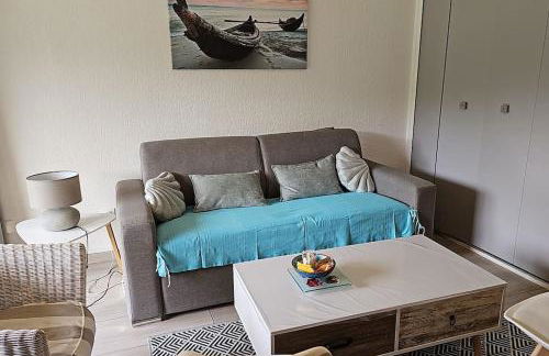 Petit paradis classé 3 étoiles à 200m de la plage! Terrasse-Wifi-Parking-clim - Foto 41