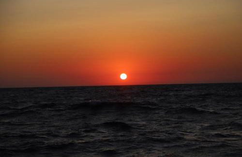 Open Suite Cobalto - Foto 73