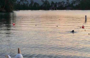 HoneyBee Homes - Foto 38