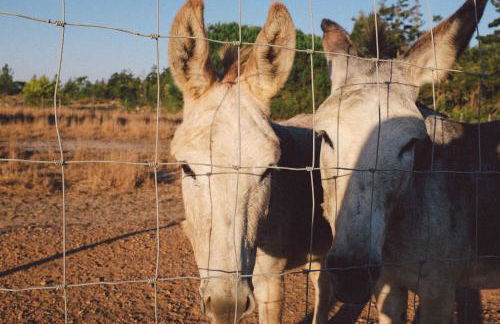 Romantic riverside retreat - Foto 20