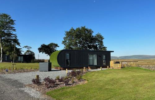 Green Law - Dog Friendly - Foto 3