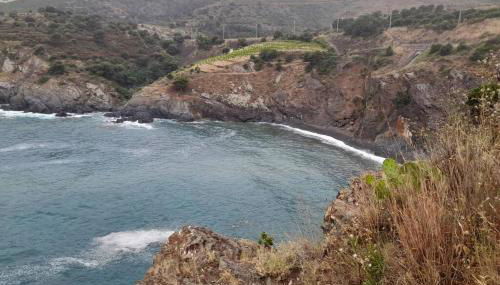 T2 appartment with sea view and swimmimg pool. - Foto 2