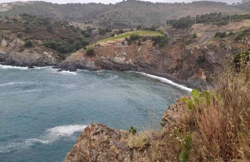 T2 appartment with sea view and swimmimg pool. - Foto 2