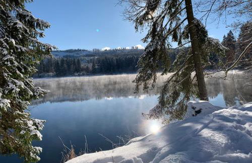 Rennsteig-Pension Trautwein - Foto 34