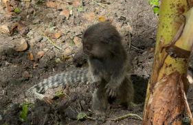 Casa Mundo Buzios - Foto 21