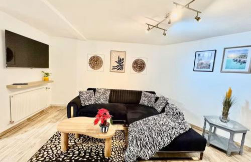 Spacieux appartement 3 chambres à Strasbourg - Foto 24