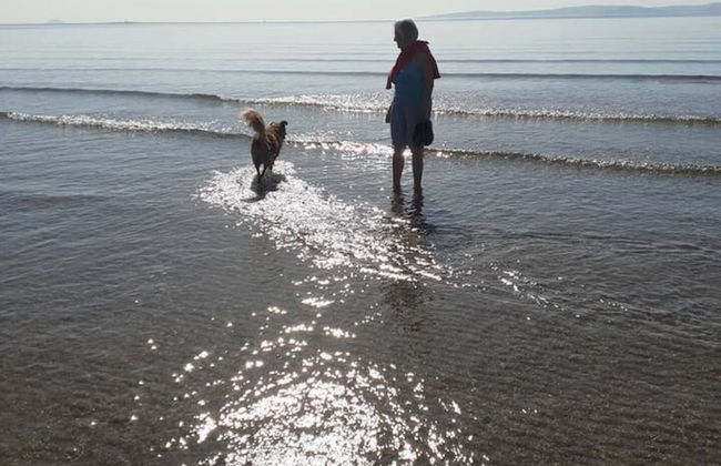 Marina View, Lovely Upper 3 Bedroom Apartment - Foto 36