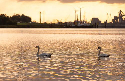 Hausboote am Lankenauer Höft - Foto 59