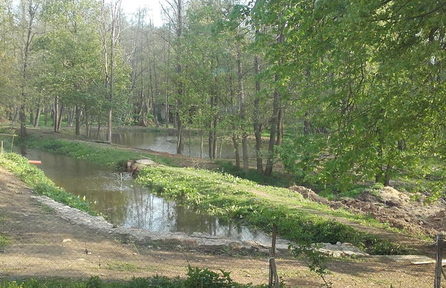 Kyprův mlýn - Photo 37