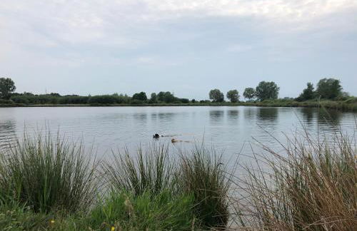 Paradiesje - Foto 25