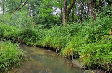 Bieszczady ClaraArt - Foto 25