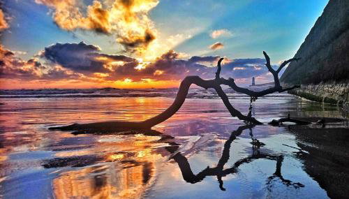 2 Bed Cottage, Newburgh, Ellon - Pets Welcome - Foto 2