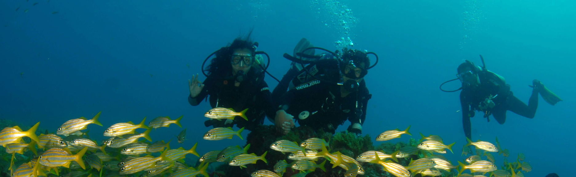 Fernando de Noronha Diving Excursion - Foto 1