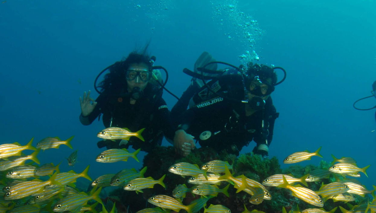 Immersione a Fernando de Noronha
