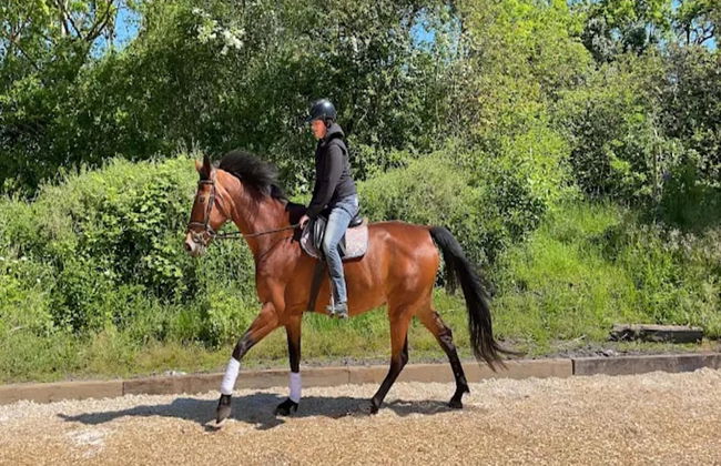 Gustow Garden Retreat - Foto 38