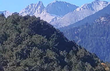 Haus Andreas - Foto 9