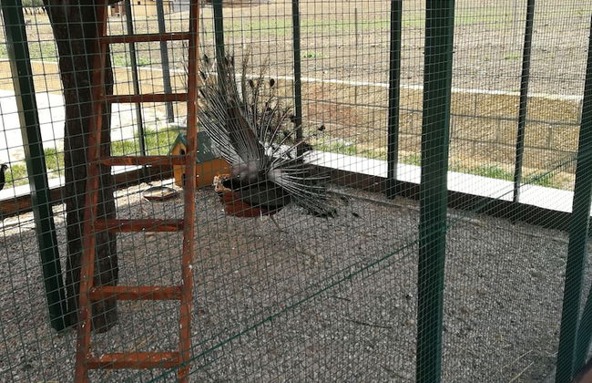 Agriturismo Fieri - Photo 26