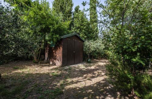 La sosta del pellegrino - Foto 20