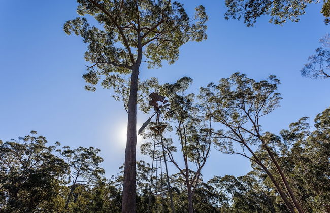 Worrowing Jervis Bay - Photo 34