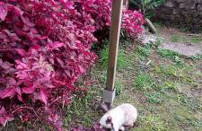 Cantinho da Inês Alojamento Local - Foto 32