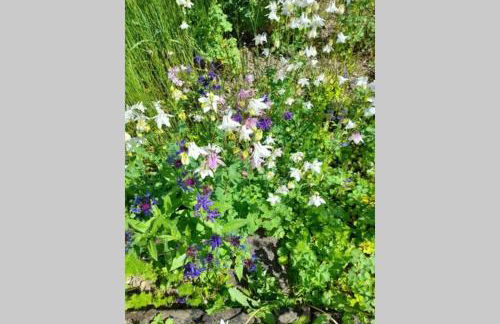 Hinter Burg, Haus mit Garten - Foto 29