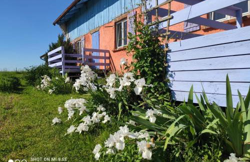 Folwark Malinowy Chruśniak - Foto 50