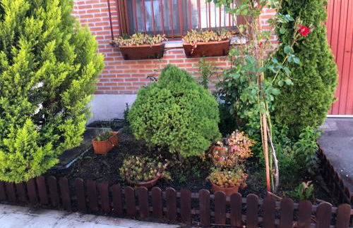 Alojamiento La Olmedana - Foto 36