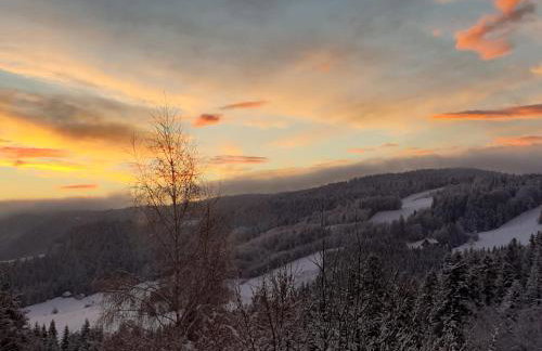 Domek na Obidzy - Foto 12