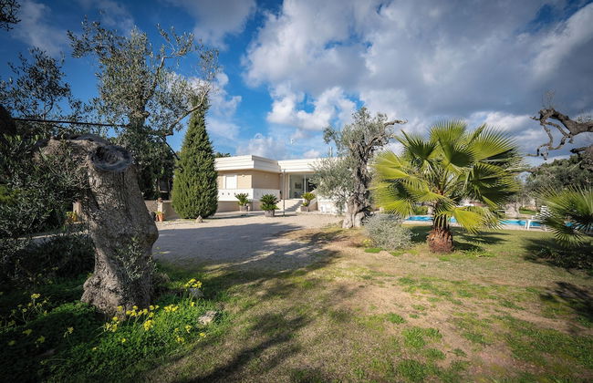 Villa Torricella Pool and Sunny Garden - Photo 23