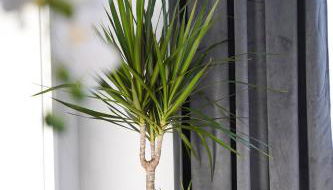 Modernes Design-Apartment - nahe Reutlingen - Parking - Self-Check-in - Foto 5